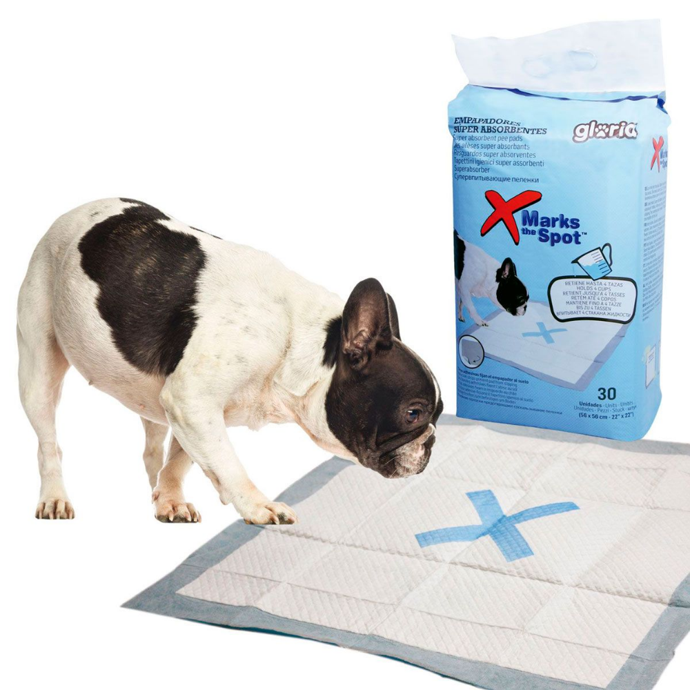 Empapador Super Absorbentes 56X56 cm 30 uds Gloria GLORIA Mascotas-Ávila