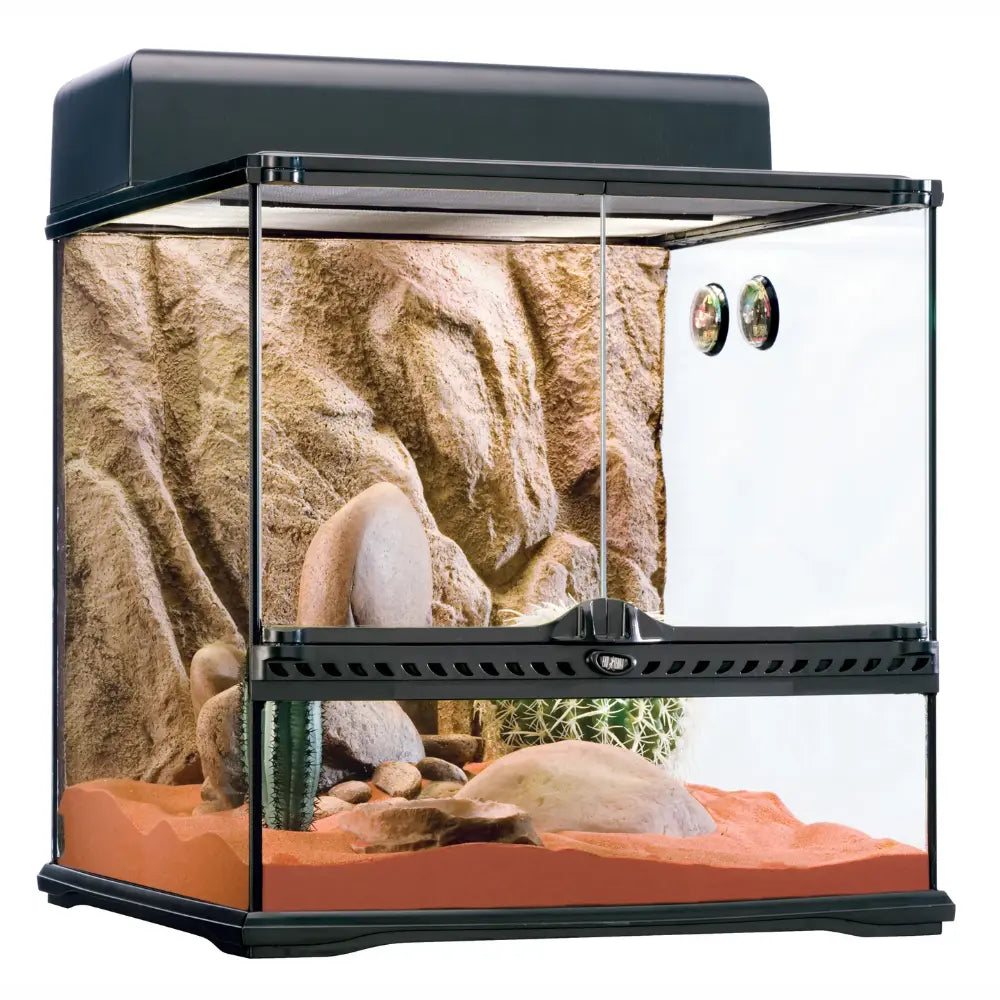 Exo Terra Habitat Kit Desertico 60 L Med 45X45X45 EXOTERRA Mascotas-Ávila