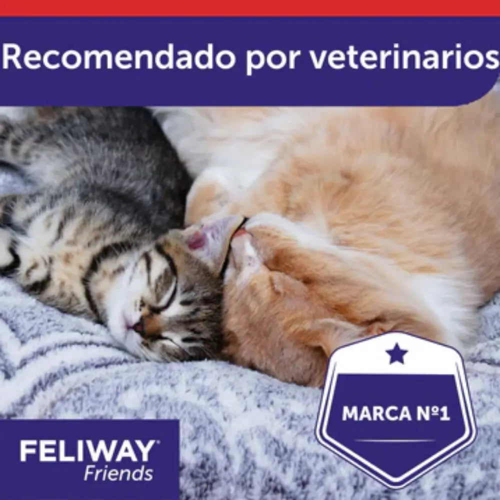Feliway Friends Recambio 48 ml CEVA Mascotas-Ávila
