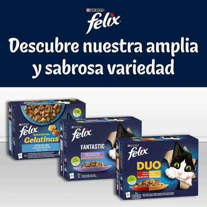 Felix Tasty Shreds Carnes Pack 4x80 g Húmeda para Gatos FELIX Mascotas-Ávila