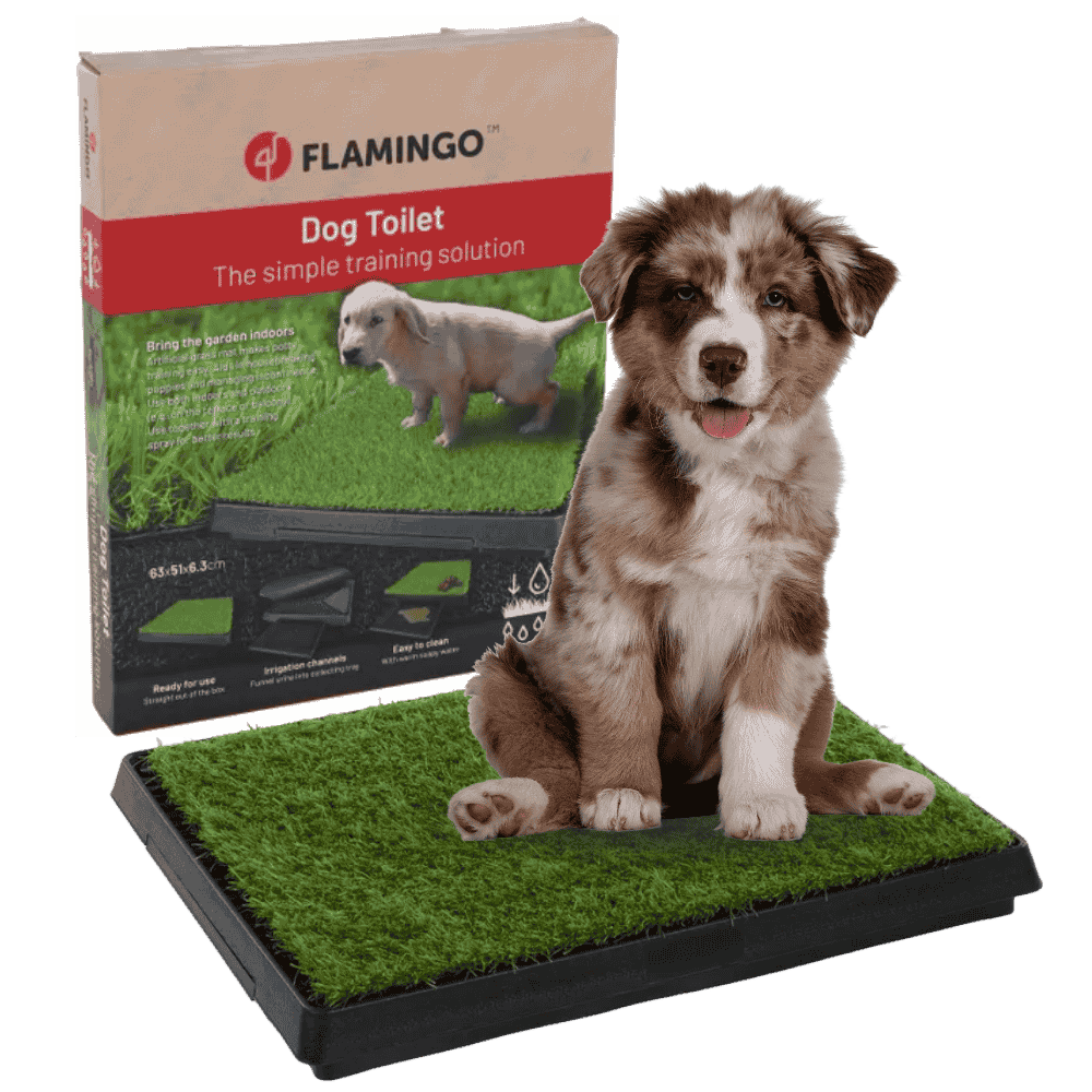 Flamingo Bandeja Arenero de Hierba Pelou para Perros con Soporte Incluido 63x51x6,3cm FLAMINGO Mascotas-Ávila