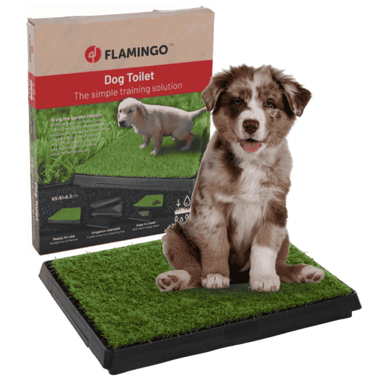 Flamingo Bandeja Arenero de Hierba Pelou para Perros con Soporte Incluido 63x51x6,3cm FLAMINGO Mascotas-Ávila