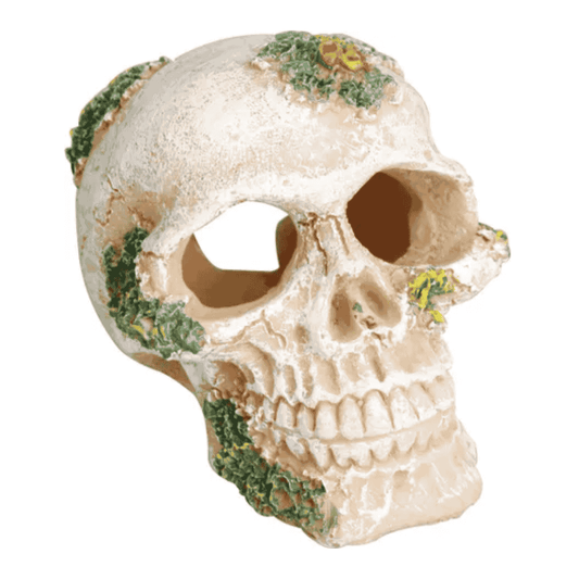 Flamingo Calavera Cráneo Beige Decoración para Acuarios FLAMINGO Mascotas-Ávila