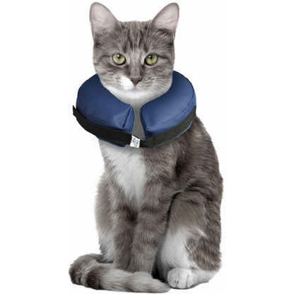 Flamingo Collar Isabelino Inflable Operación Perro FLAMINGO Mascotas-Ávila