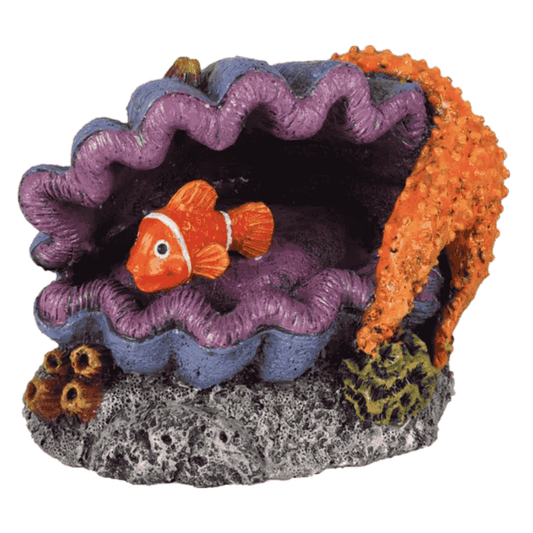 Flamingo Leto Pez en Concha Decoración para Acuarios FLAMINGO Mascotas-Ávila