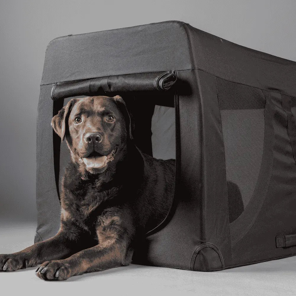 Flamingo Transportín Plegable Gepetto Negro para Mascotas FLAMINGO Mascotas-Ávila