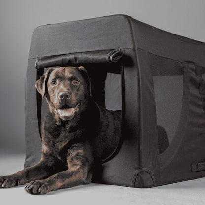 Flamingo Transportín Plegable Gepetto Negro para Mascotas FLAMINGO Mascotas-Ávila