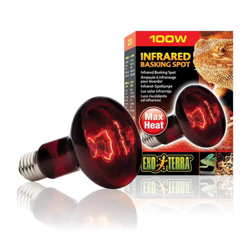 Foco Luz Infrarojo Reptiles Exo Terra EXOTERRA Mascotas-Ávila