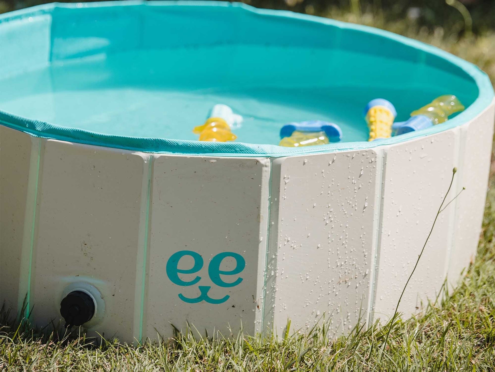 Freedog Piscina Antideslizante para Perros FREEDOG Mascotas-Ávila