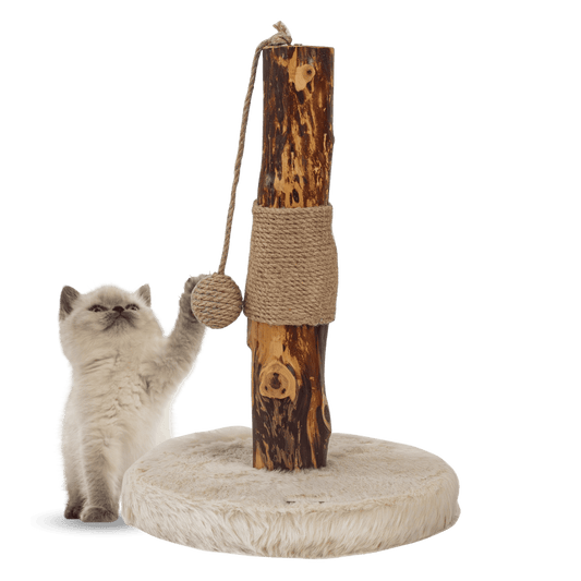 Freedog Rascador ZenPear Pole 30x30x43cm con Tronco Natural para Gatos FREEDOG Mascotas-Ávila