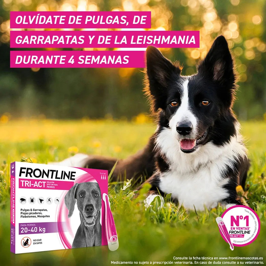 Frontline Tri-Act Pack 3 Pipetas Antiparasitarias para Perros BOEHRINGER Mascotas-Ávila