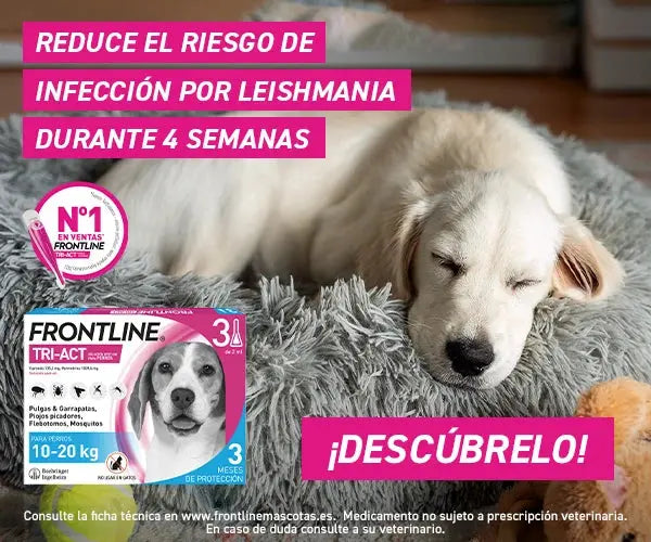 Frontline Tri-Act Pack 3 Pipetas Antiparasitarias para Perros BOEHRINGER Mascotas-Ávila