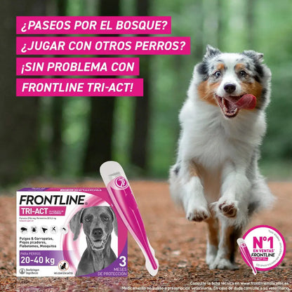 Frontline Tri-Act Pack 3 Pipetas Antiparasitarias para Perros BOEHRINGER Mascotas-Ávila