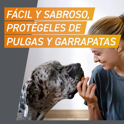 Frontpro Comprimidos Masticables Antiparasitarios para Perros 3 uds. BOEHRINGER Mascotas-Ávila