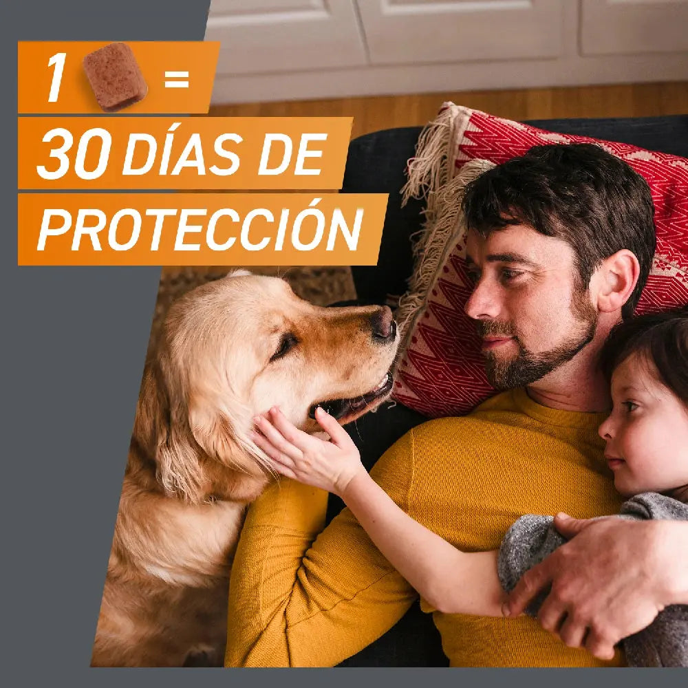 Frontpro Comprimidos Masticables Antiparasitarios para Perros 3 uds. BOEHRINGER Mascotas-Ávila