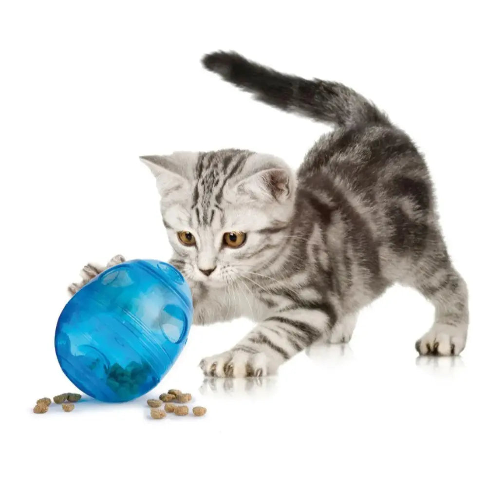 Funkitty Bola Dispensadora Comida Gatos NAYECO Mascotas-Ávila