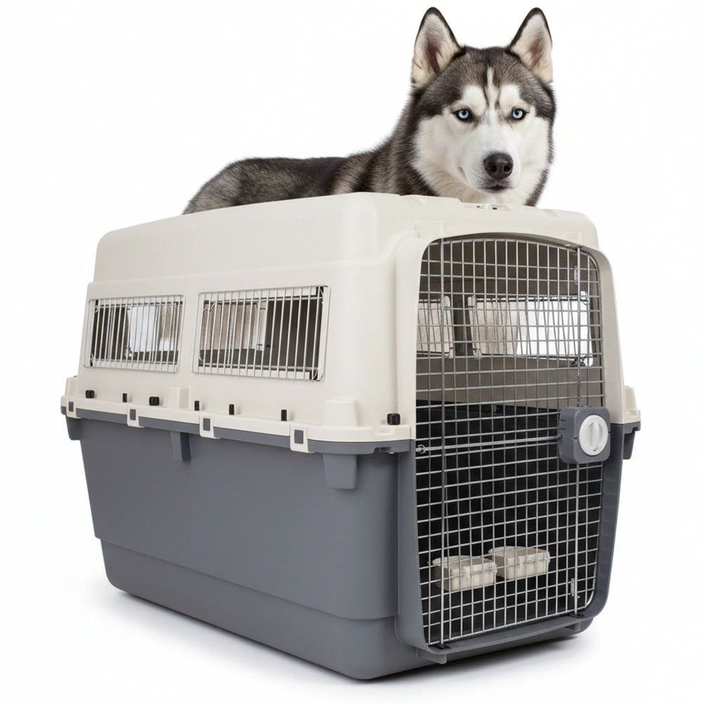 Ribecan Transportín Gigante IATA L-120 para Perros (120x83x90cm) RIBECAN Mascotas-Ávila