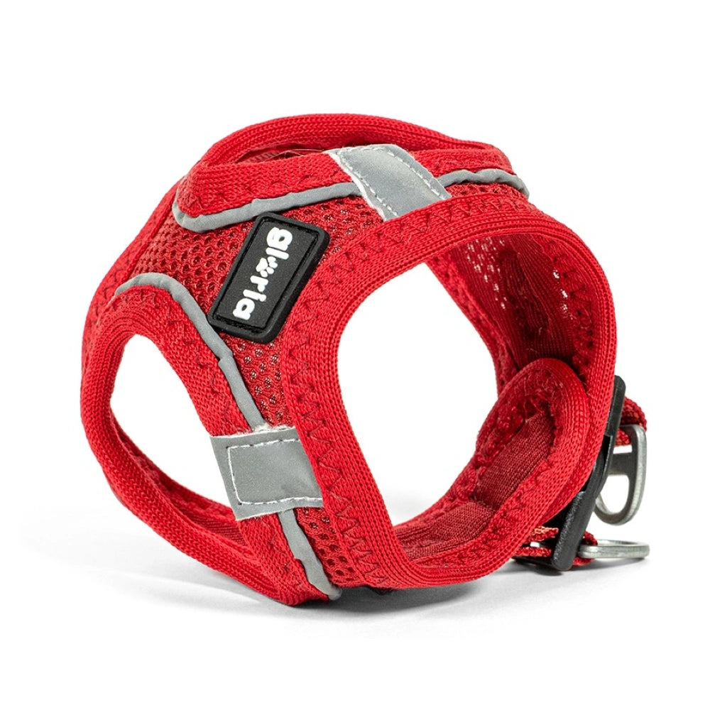 Gloria Arnés Air Mesh Trek Star para Perros GLORIA Mascotas-Ávila
