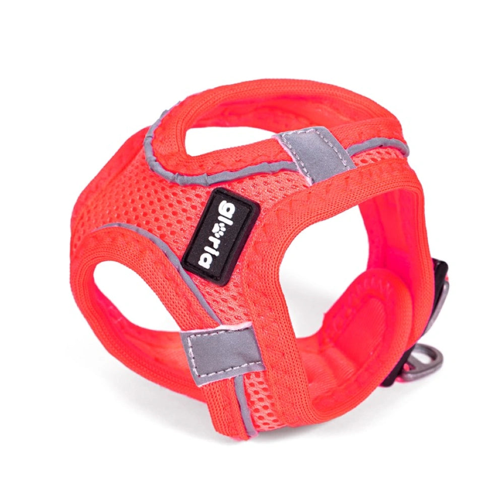 Gloria Arnés Air Mesh Trek Star para Perros GLORIA Mascotas-Ávila