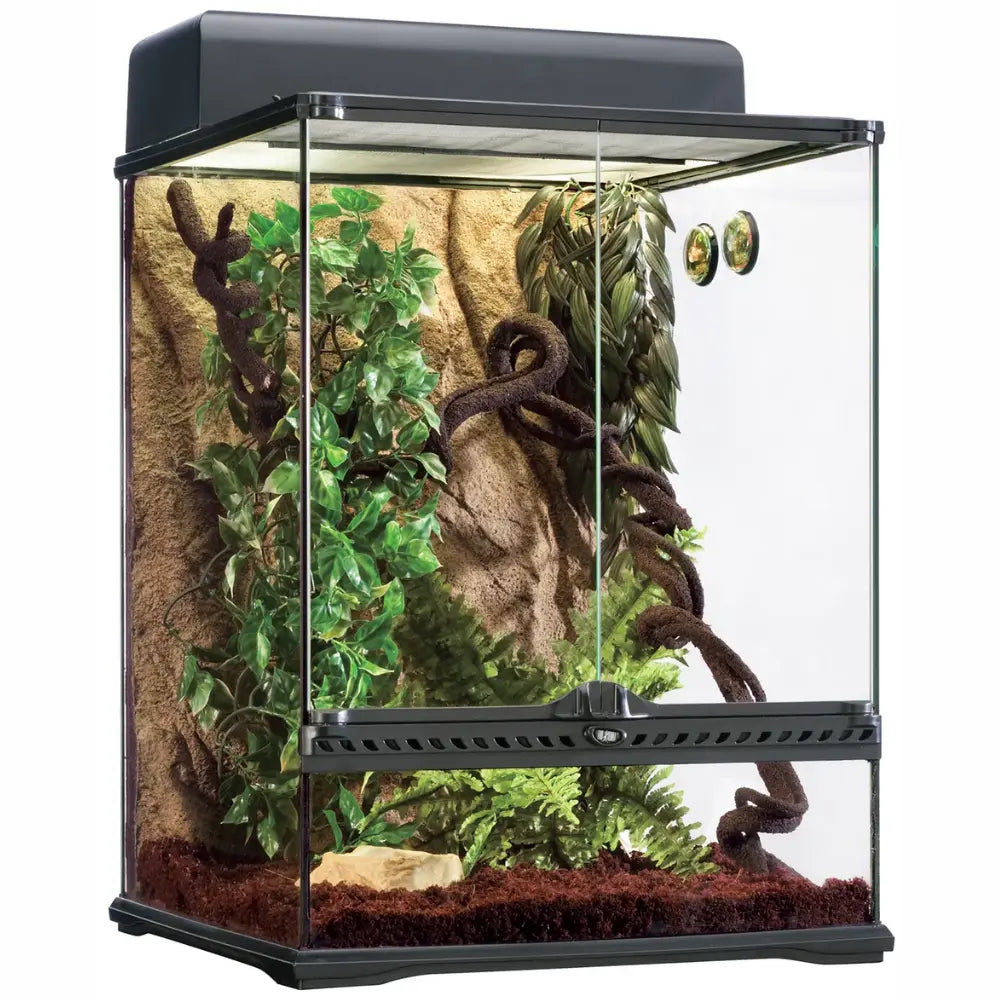Habitat Kit Tropical Exo Terra EXOTERRA Mascotas-Ávila