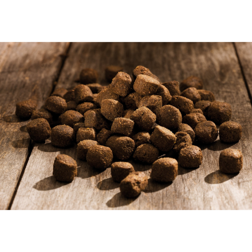 Happy Dog Maxi Adult Happy Dog Mascotas-Ávila