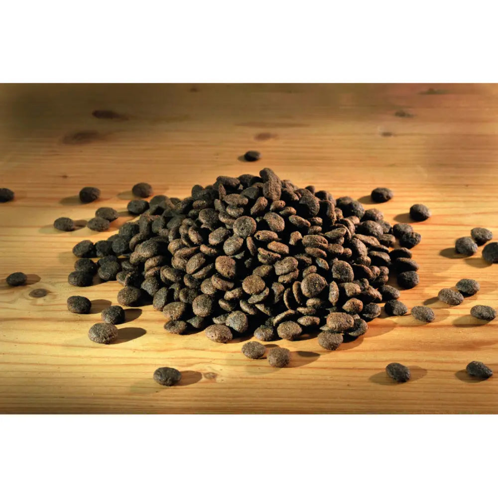 Happy Dog Mini Africa Happy Dog Mascotas-Ávila