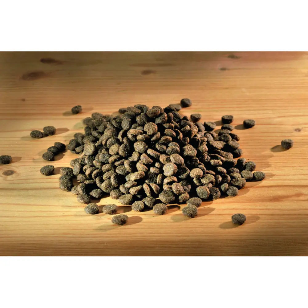 Happy Dog Mini Canada Happy Dog Mascotas-Ávila