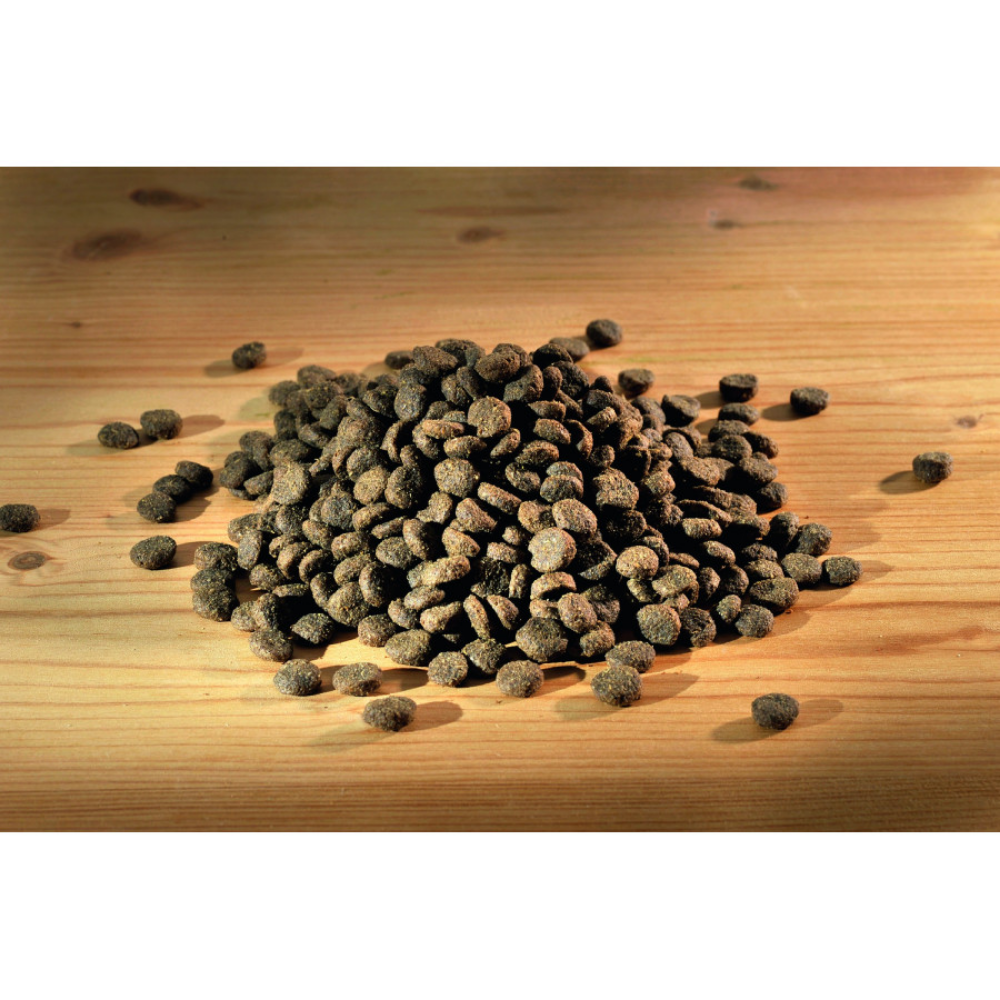 Happy Dog Mini Irland Happy Dog Mascotas-Ávila