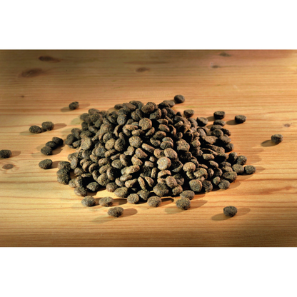 Happy Dog Mini Irland Happy Dog Mascotas-Ávila