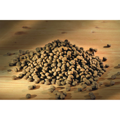 Happy Dog Mini Toscana Happy Dog Mascotas-Ávila