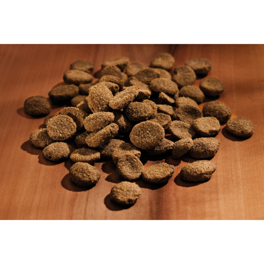 Happy Dog Senior Happy Dog Mascotas-Ávila