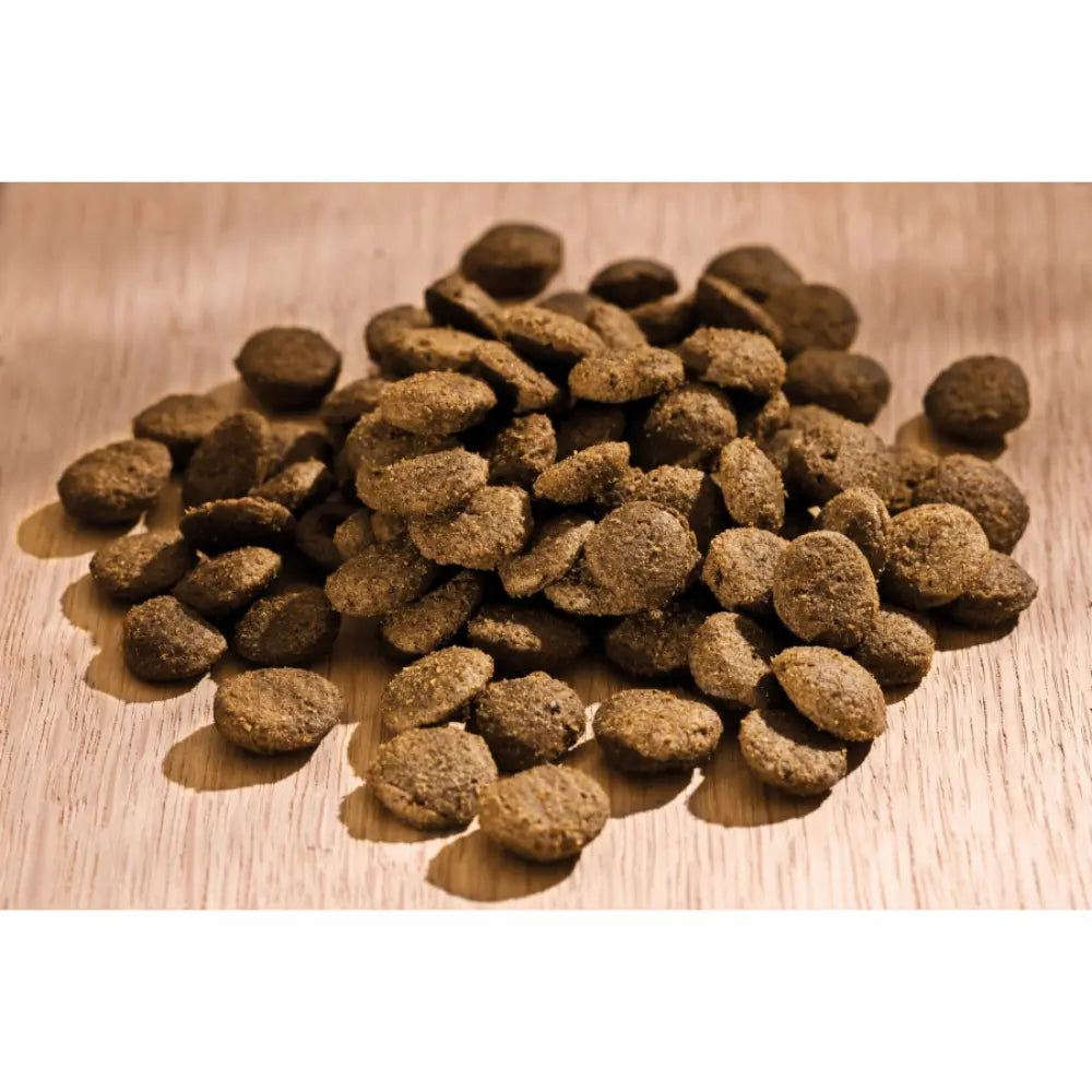 Happy Dog Sensible Africa Happy Dog Mascotas-Ávila