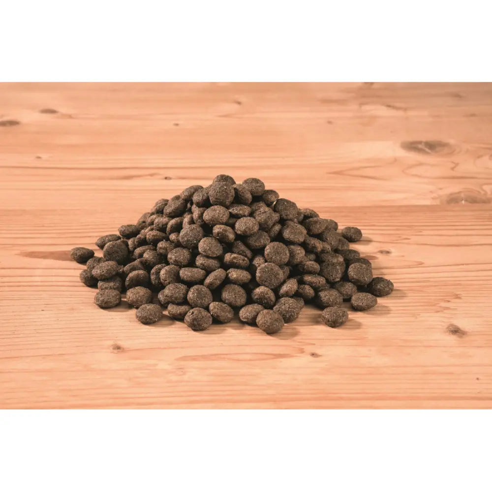 Happy Dog Sensible Canada Happy Dog Mascotas-Ávila