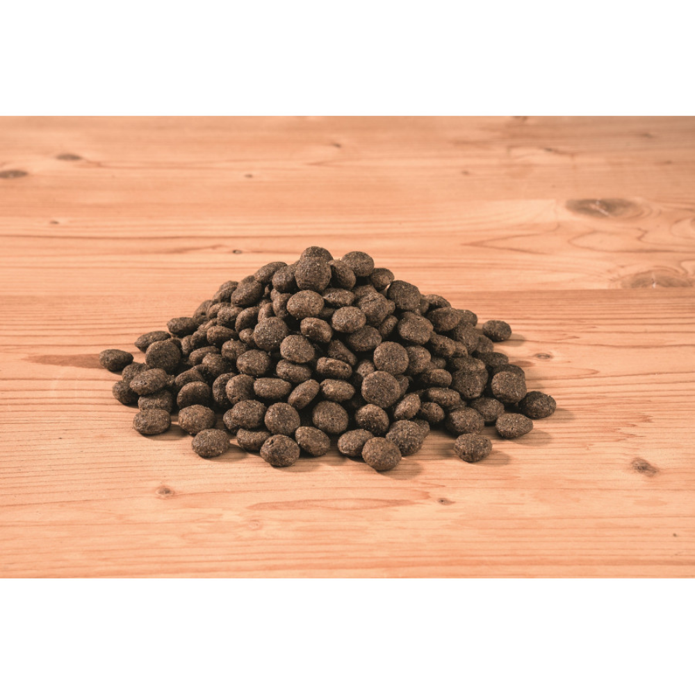 Happy Dog Sensible Canada Happy Dog Mascotas-Ávila