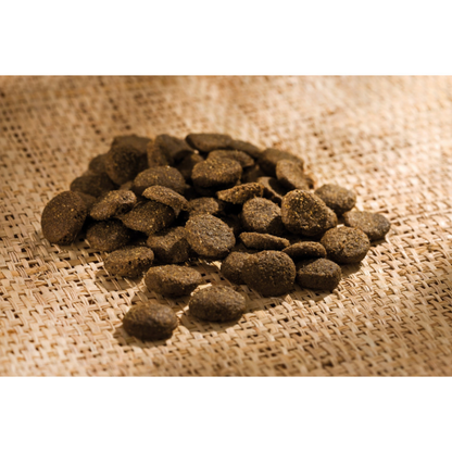 Happy Dog Sensible Ireland Happy Dog Mascotas-Ávila