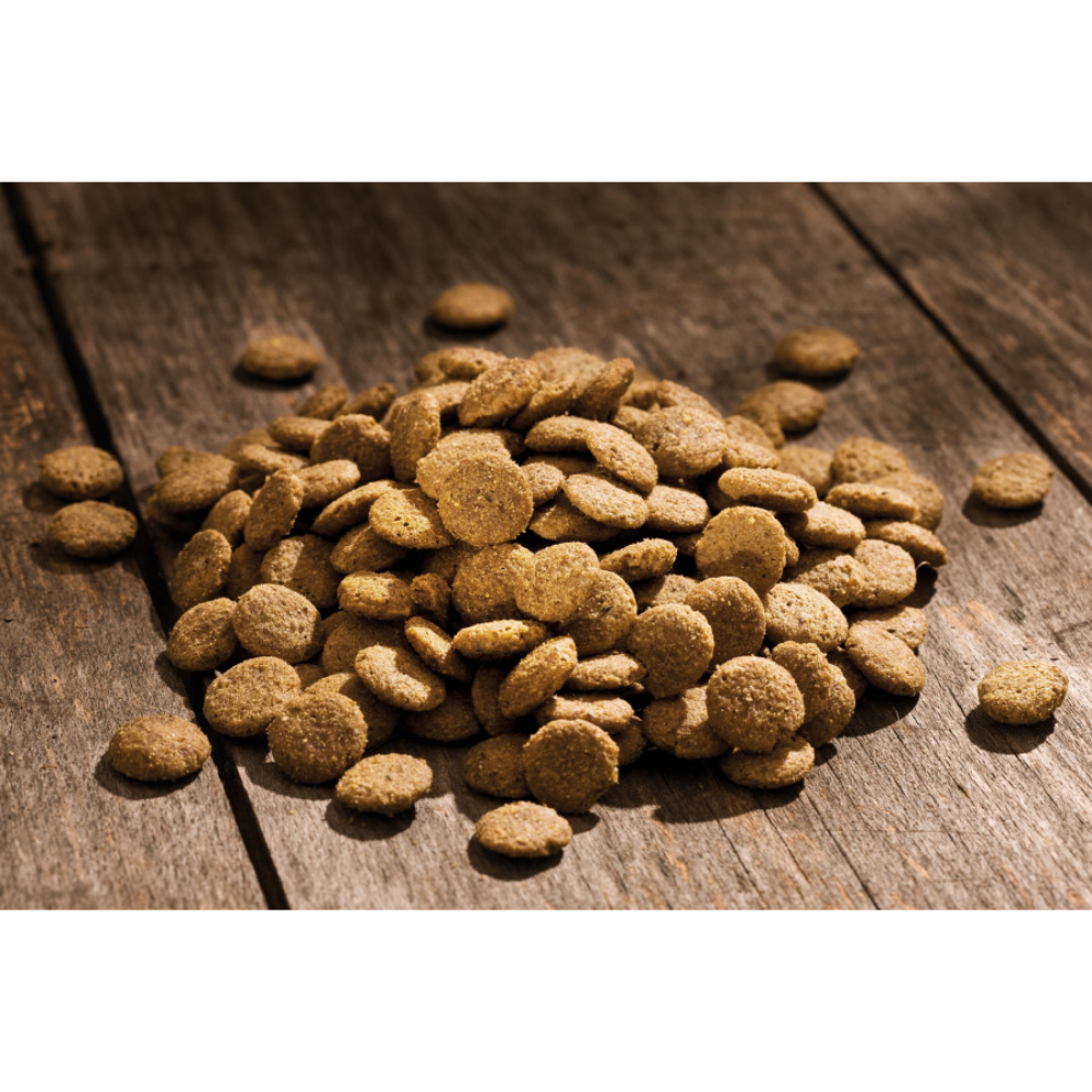 Happy Dog Sensible Toscana Happy Dog Mascotas-Ávila