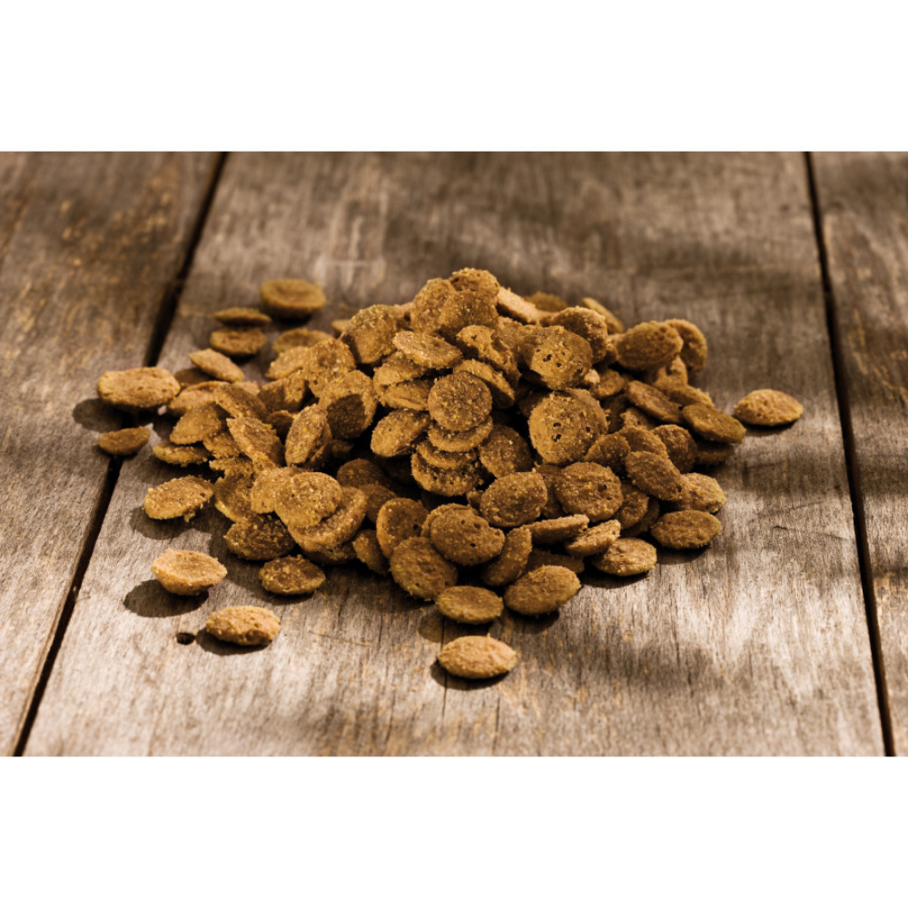 Happy Dog Suplementos Sano N Para Problemas Renales y de Hígado Happy Dog Mascotas-Ávila