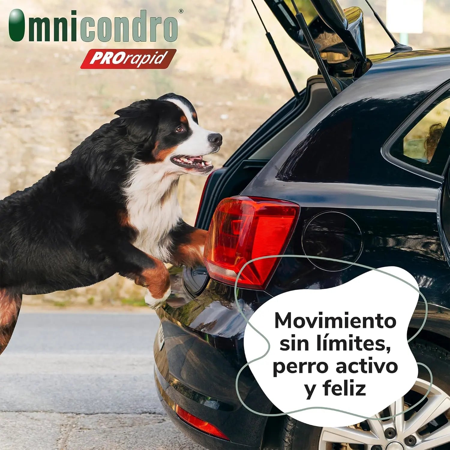 Hifarmax Omnicondro ProRapid 60 Comprimidos Suplemento Condroprotector para Perros HIFARMAX Mascotas-Ávila