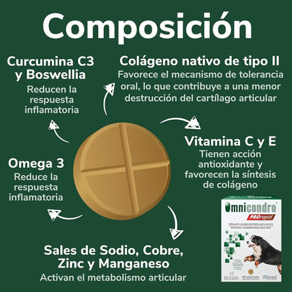 Hifarmax Omnicondro ProRapid 60 Comprimidos Suplemento Condroprotector para Perros HIFARMAX Mascotas-Ávila