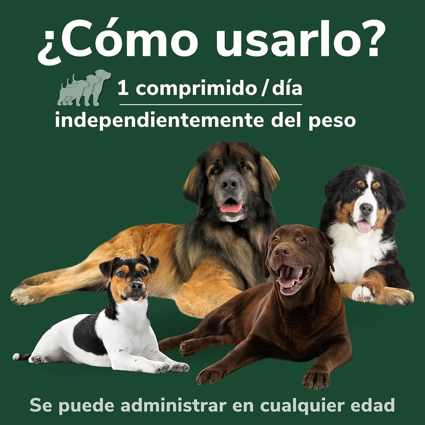 Hifarmax Omnicondro ProRapid 60 Comprimidos Suplemento Condroprotector para Perros HIFARMAX Mascotas-Ávila