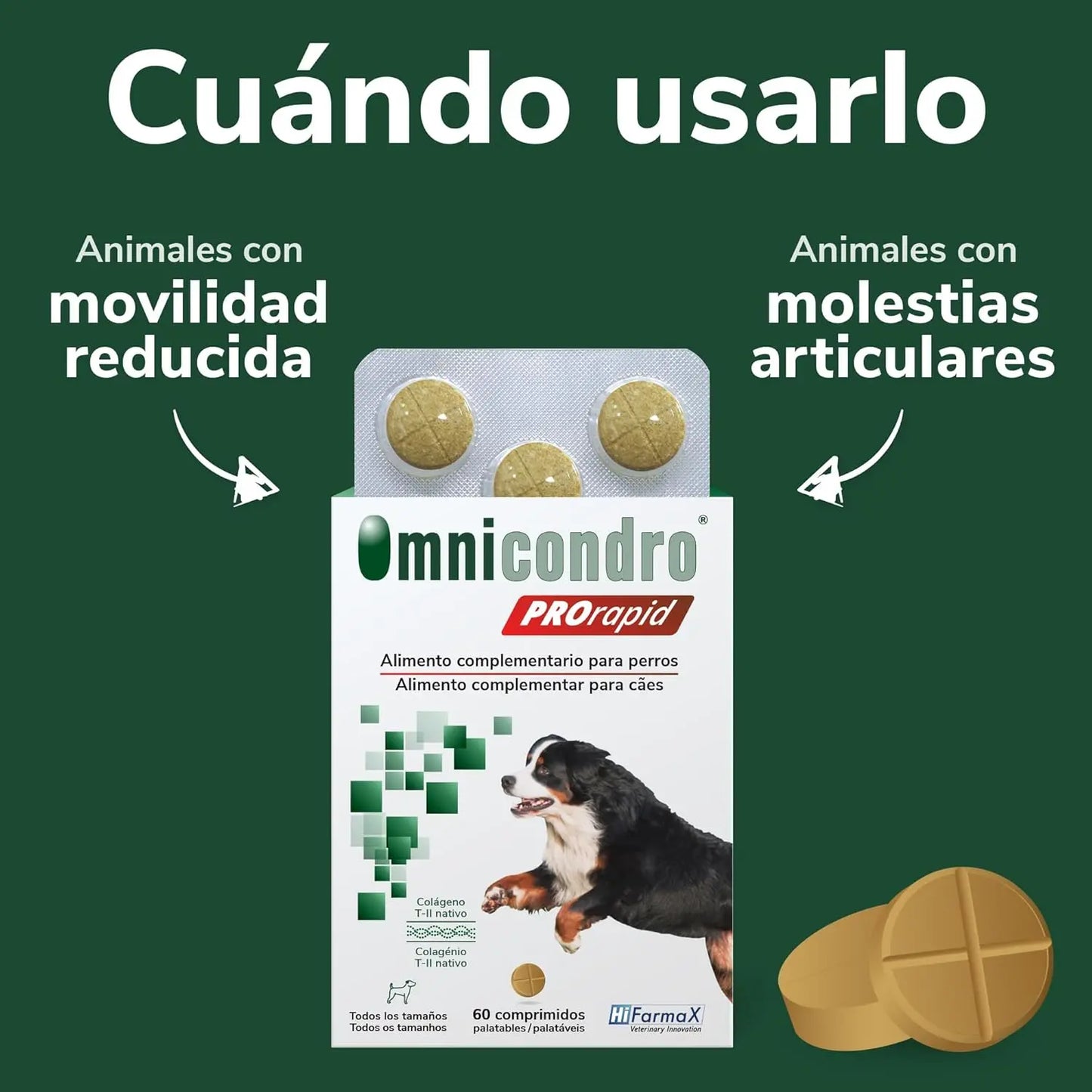Hifarmax Omnicondro ProRapid 60 Comprimidos Suplemento Condroprotector para Perros HIFARMAX Mascotas-Ávila