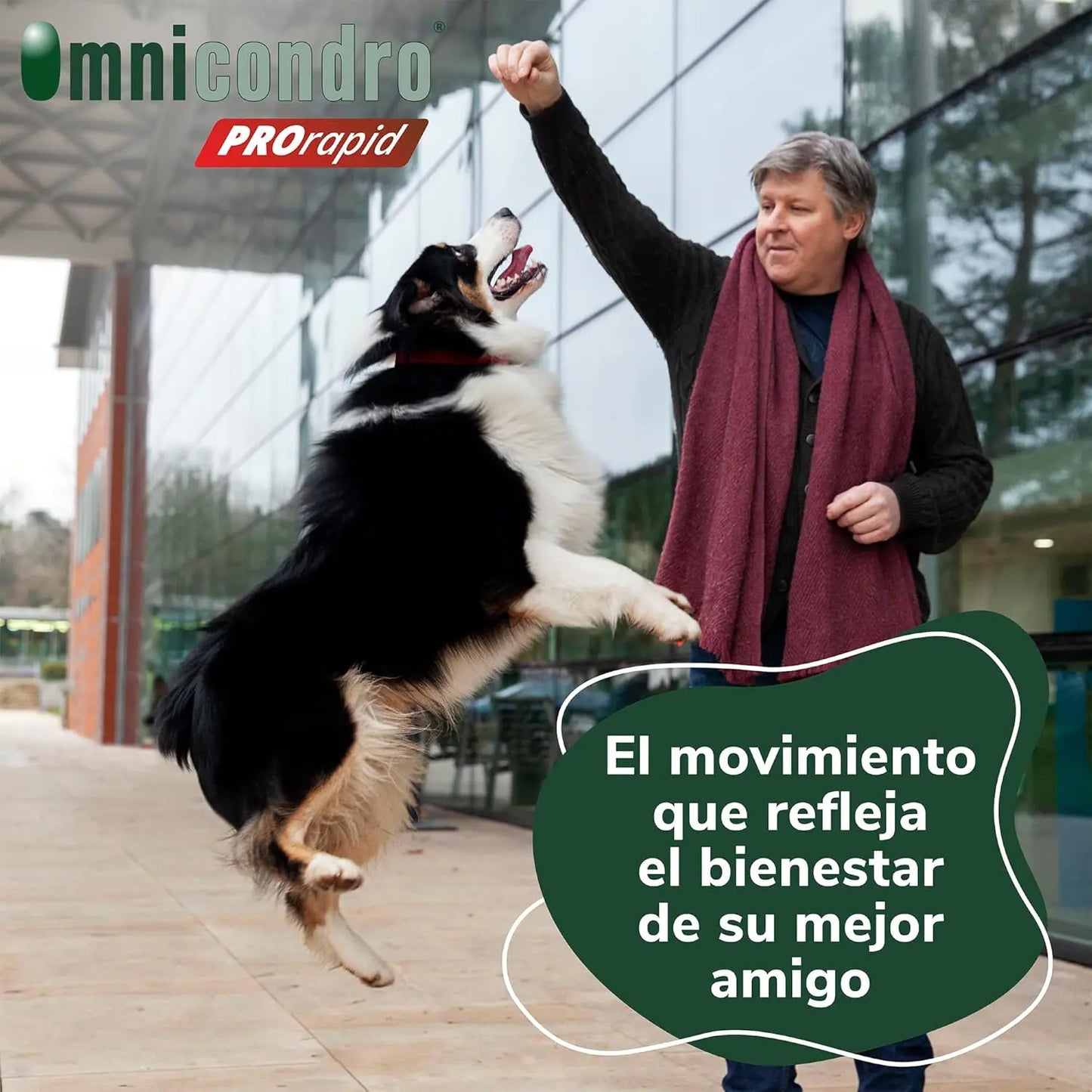 Hifarmax Omnicondro ProRapid 60 Comprimidos Suplemento Condroprotector para Perros HIFARMAX Mascotas-Ávila
