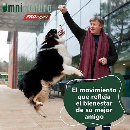 Hifarmax Omnicondro ProRapid 60 Comprimidos Suplemento Condroprotector para Perros HIFARMAX Mascotas-Ávila