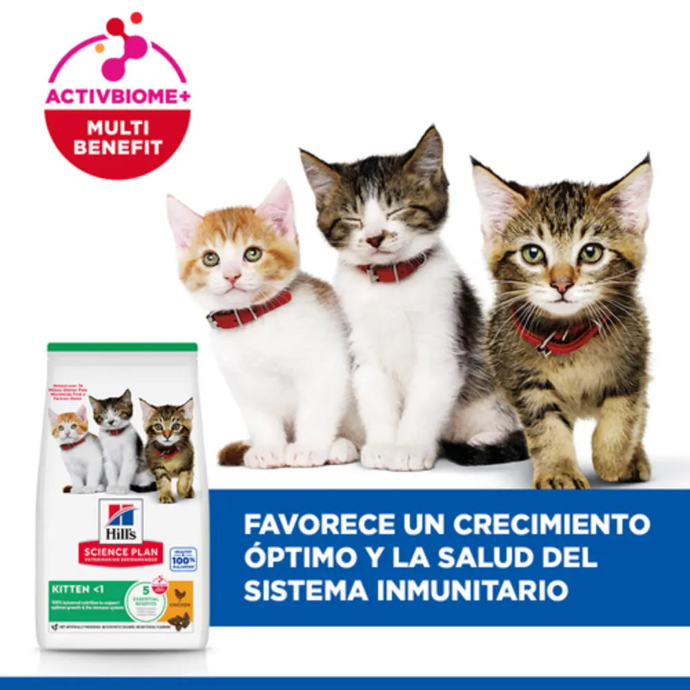 Hill'S Science Plan Kitten Pollo 300 g Alimento para Gatos HILLS Mascotas-Ávila