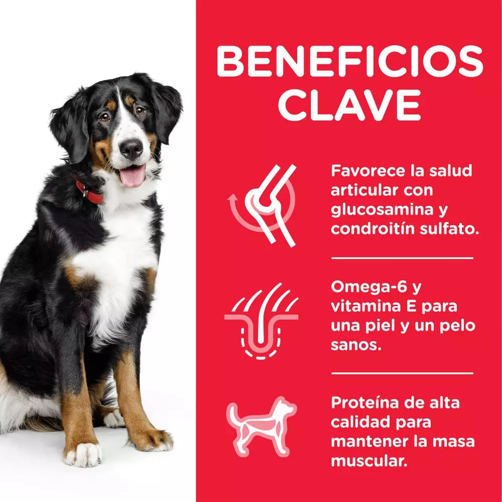 Hill's Science Plan Adult Razas Grandes Pollo Pienso para Perros HILLS Mascotas-Ávila