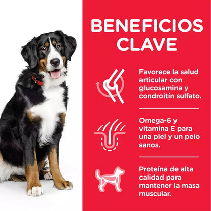 Hill's Science Plan Adult Razas Grandes Pollo Pienso para Perros HILLS Mascotas-Ávila