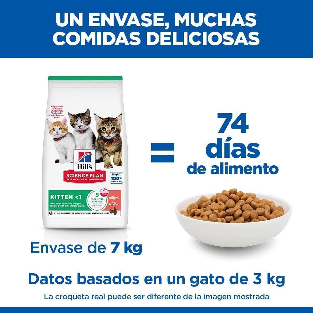 Hill's Science Plan Kitten Salmón Pienso para Gatitos HILLS Mascotas-Ávila