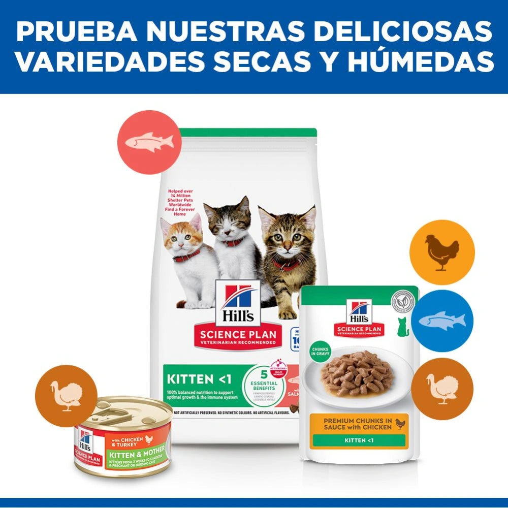 Hill's Science Plan Kitten Salmón Pienso para Gatitos HILLS Mascotas-Ávila