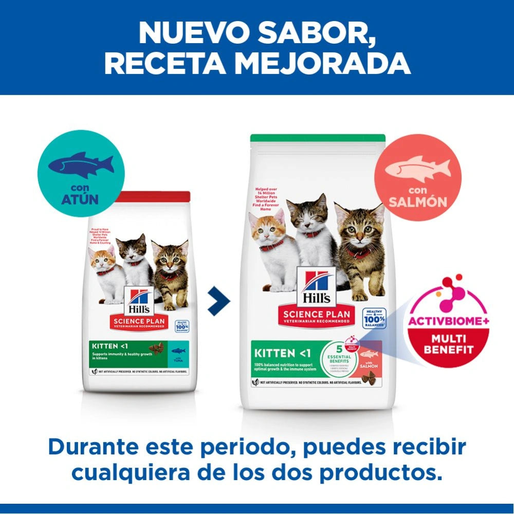Hill's Science Plan Kitten Salmón Pienso para Gatitos HILLS Mascotas-Ávila