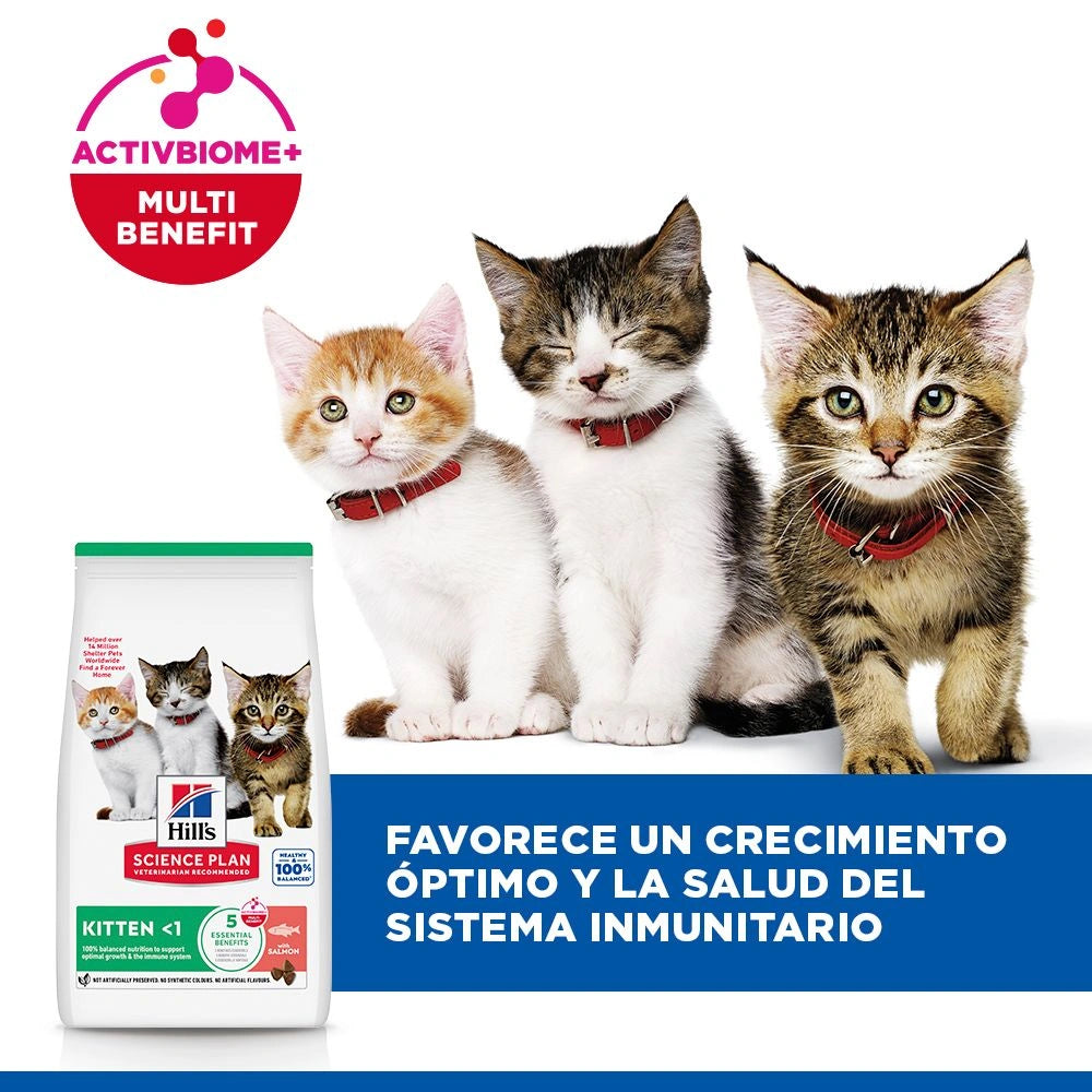 Hill's Science Plan Kitten Salmón Pienso para Gatitos HILLS Mascotas-Ávila